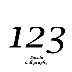 Custom 120mm Vinyl House Number