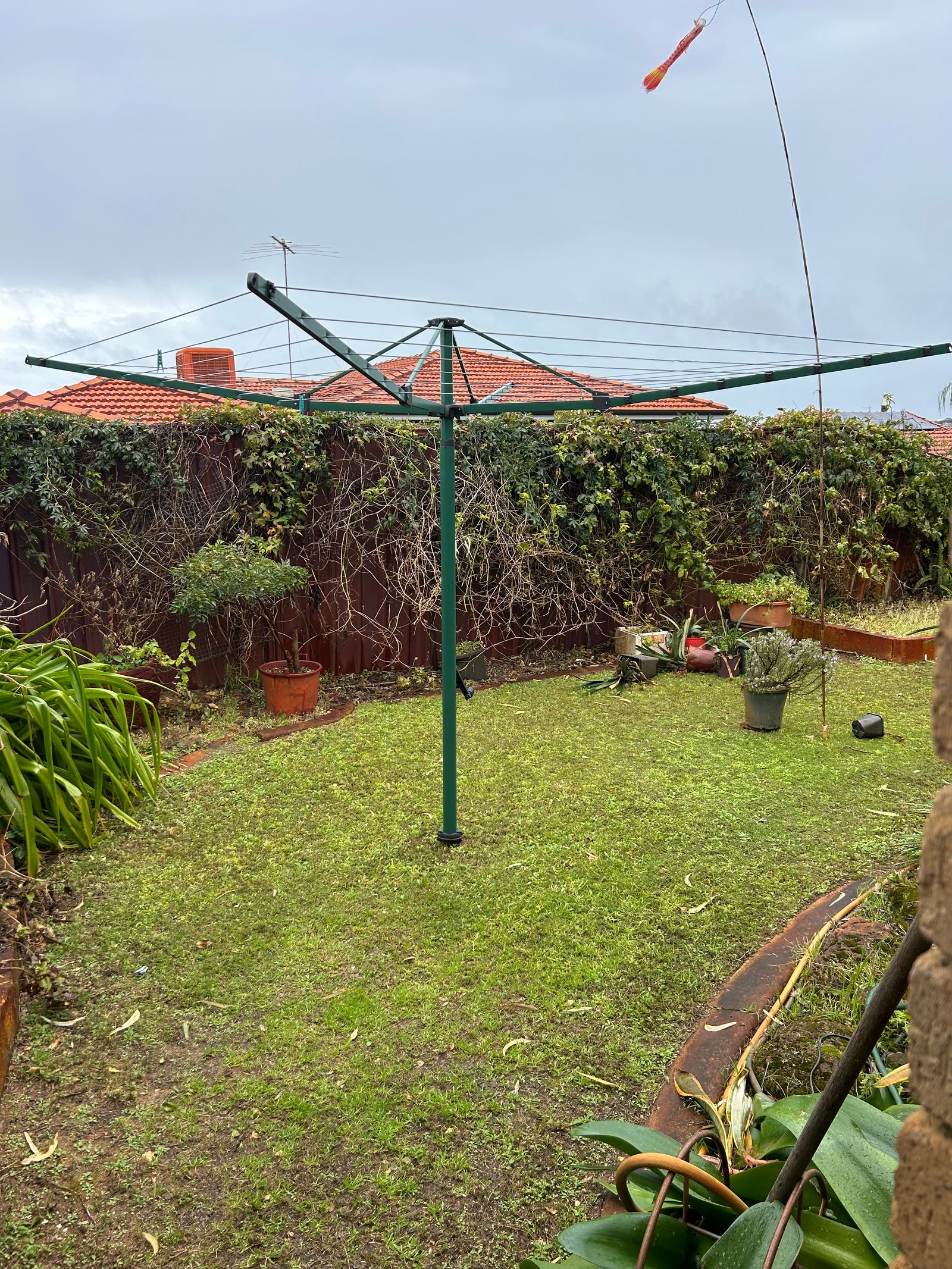 Hills Everyday Rotary 47